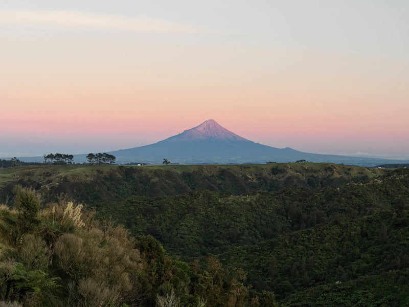 Ruches Egmont Honey avec le mont Taranaki en toile de fond